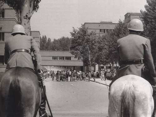 foto 42.jpg (20861 bytes)